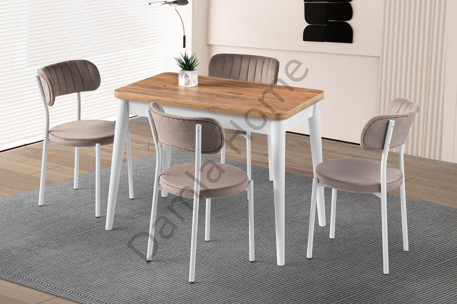 Rüya Masa Sandalye Takımı - Çam/Beyaz