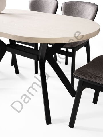 Haliç Masa Sandalye Takımı - Monet/Siyah